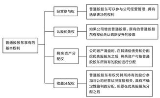 探讨普通合伙企业作为股东的法律地位及权益