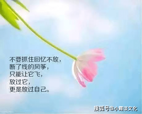 万圣节柔文案：治愈短句，走心句子，营造馨氛围