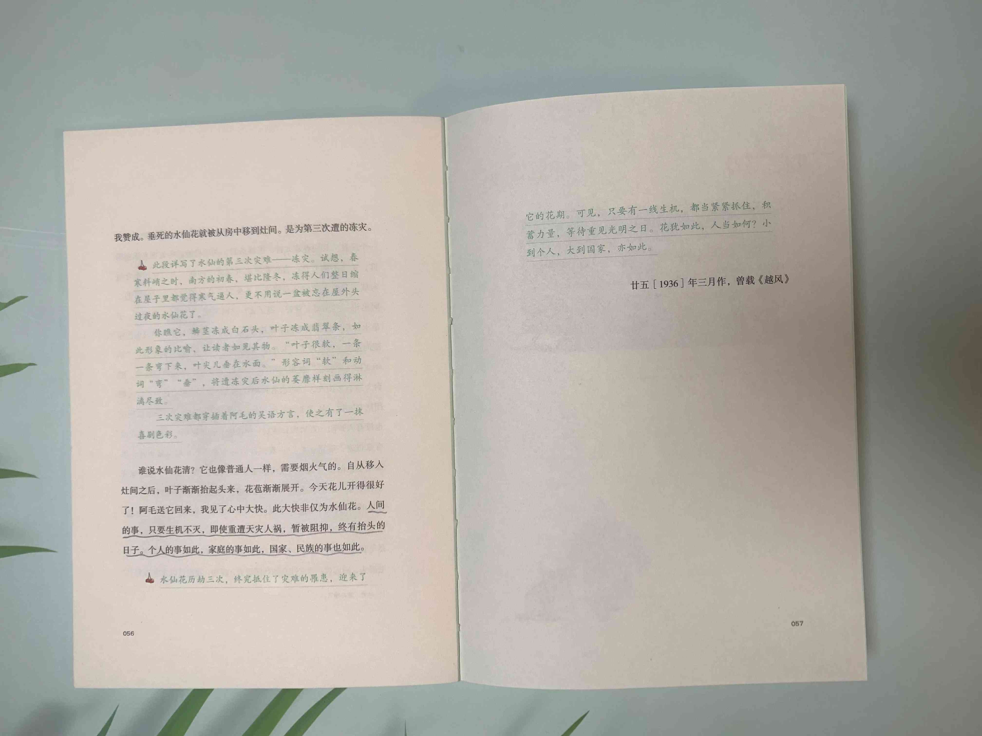 全方位掌握作文技巧：从基础训练到高级提升的写作教程