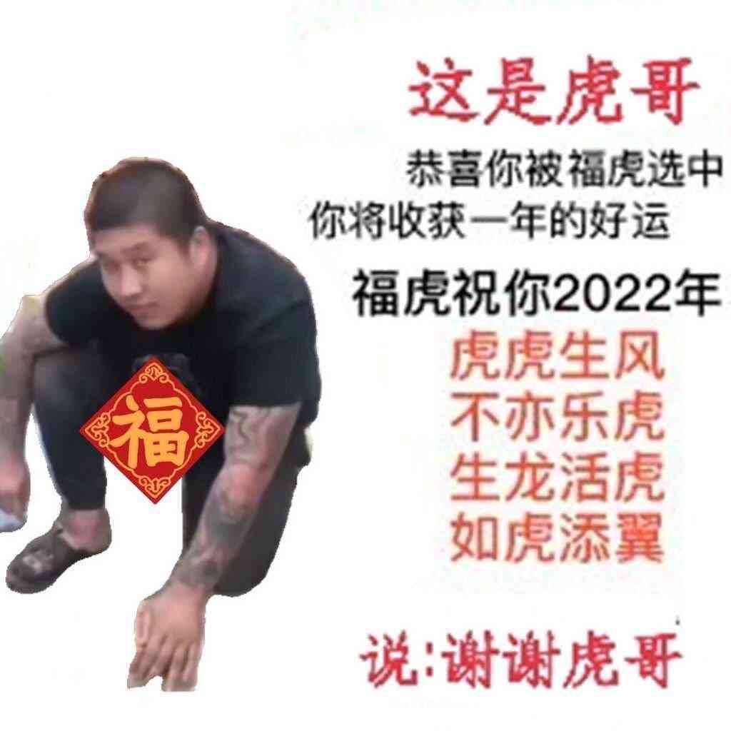虎哥语录：沈阳大街团长到沈阳全集收录