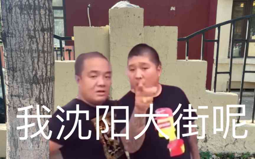 虎哥语录：沈阳大街团长到沈阳全集收录