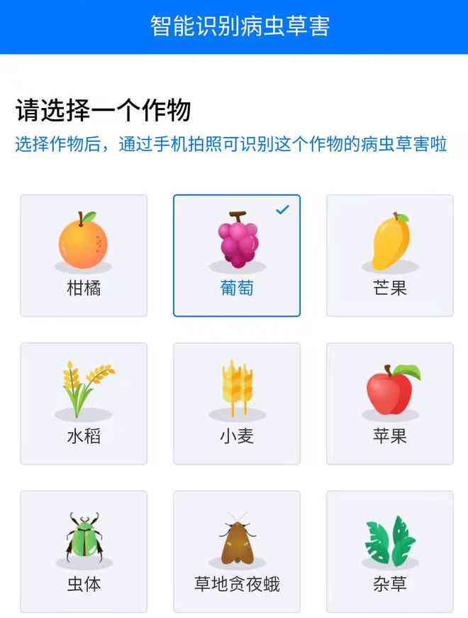 AI识别植物病虫害、模糊文字及王字标识