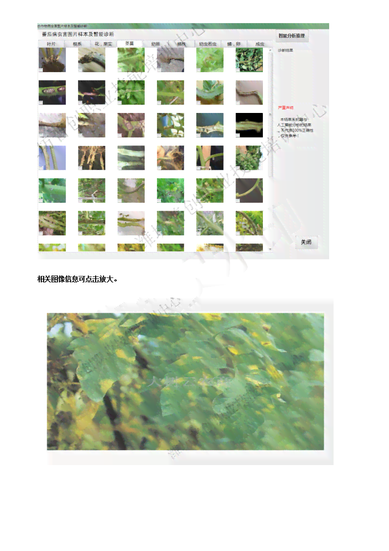 AI识别植物病虫害、模糊文字及王字标识