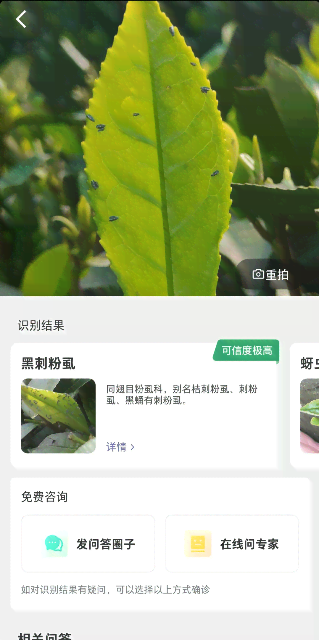 AI识别植物病虫害、模糊文字及王字标识