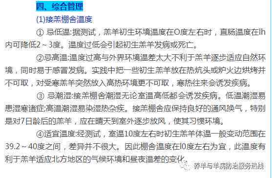 基于AI技术的作业实践报告：成效总结与深度反思