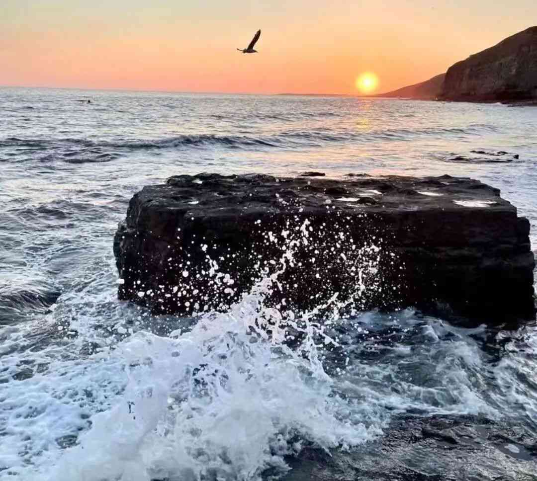 海岛文案：高级短句唯美感，朋友圈干净短句高级感