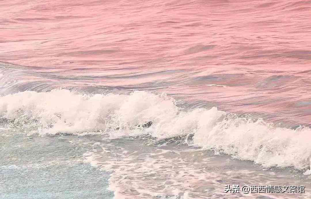 海岛文案：高级短句唯美感，朋友圈干净短句高级感