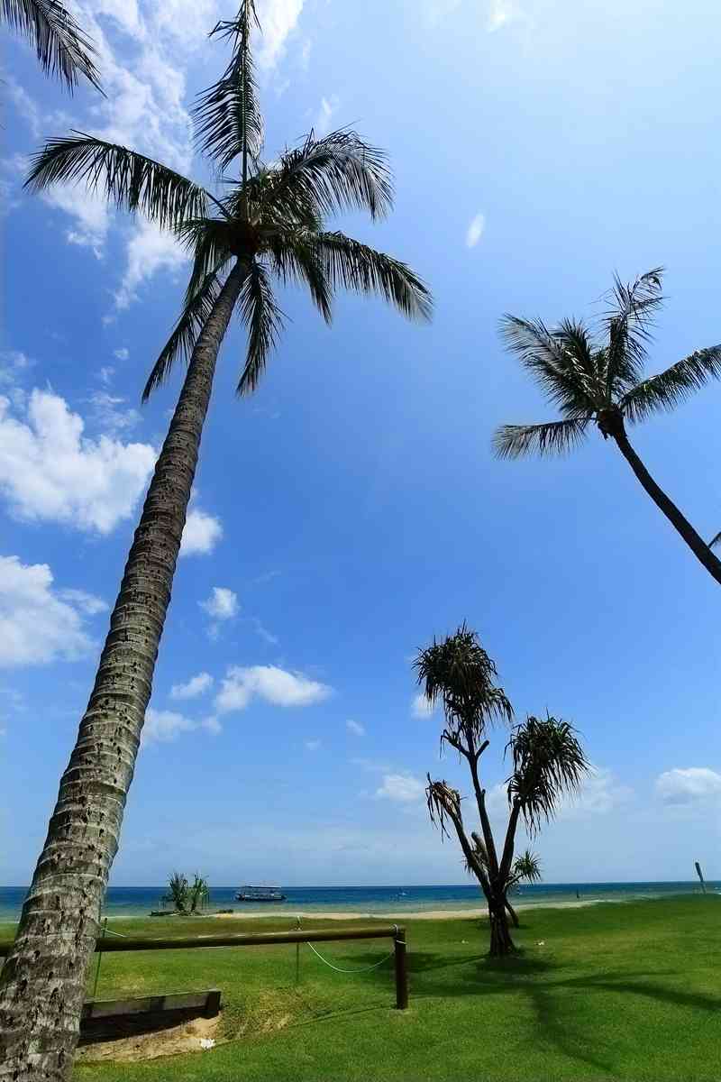 海岛风情：文艺短语拾遗