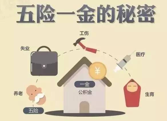 养老保险与工伤认定：详解双重保障下的权益保障与理赔条件