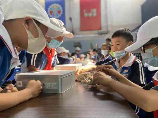 小学生机器人课程体验与收获：探索科技教育的之一手感受与反馈