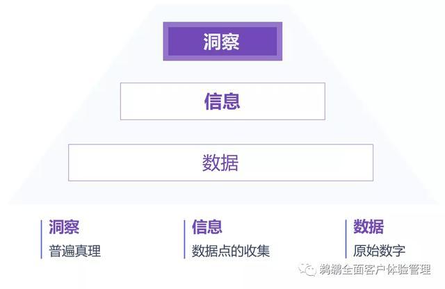 深入解析：财经编辑如何融合财经知识与敏锐洞察力打造高质量财经内容