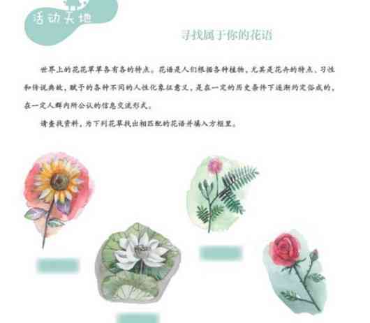 性别转换全过程指南：男孩如何变为女孩的心理与生理变化解析