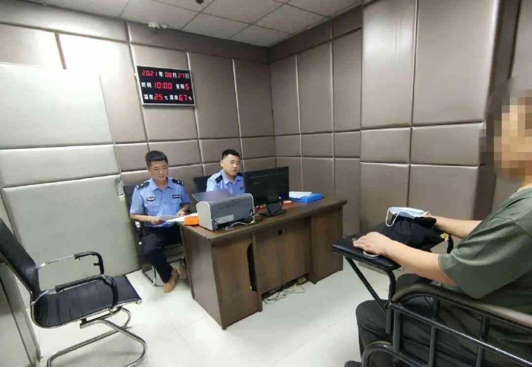 全面解读：生产销售有有害食品罪的立案标准、法律责任与典型案例分析