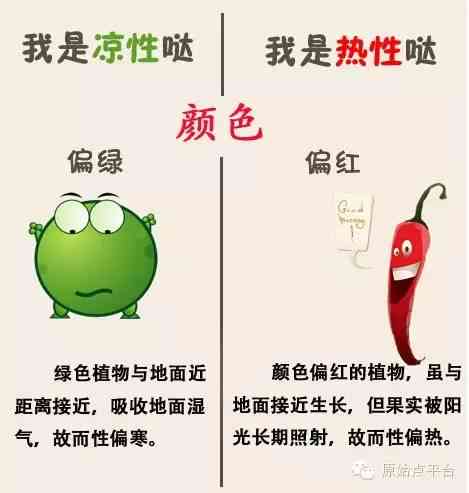 有食品有什么：特点、品种、危害及鉴别方法