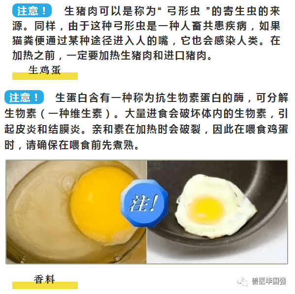 有食品有什么：特点、品种、危害及鉴别方法