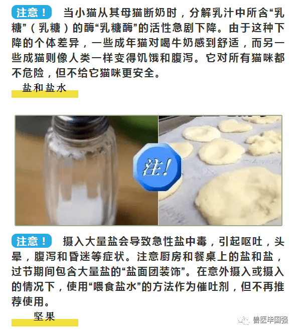 有食品有什么：特点、品种、危害及鉴别方法
