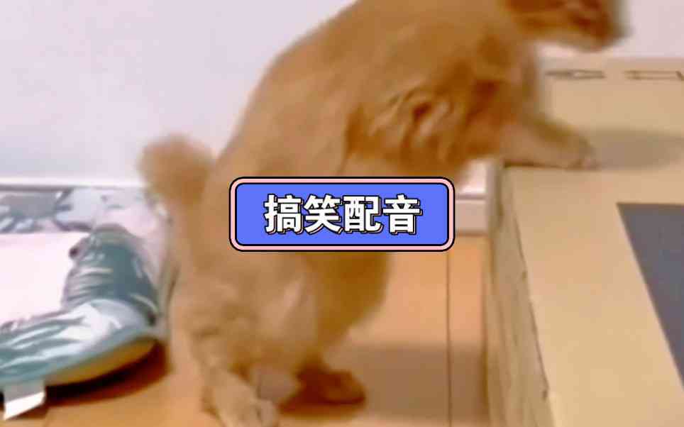 爆笑来袭：搞笑片配音专用素材汇编