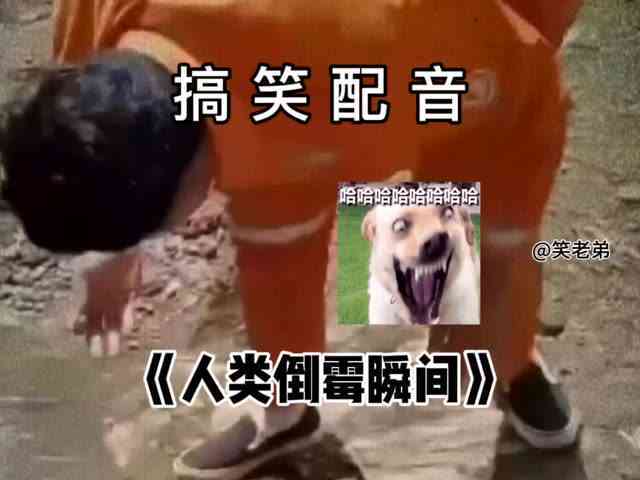 爆笑来袭：搞笑片配音专用素材汇编
