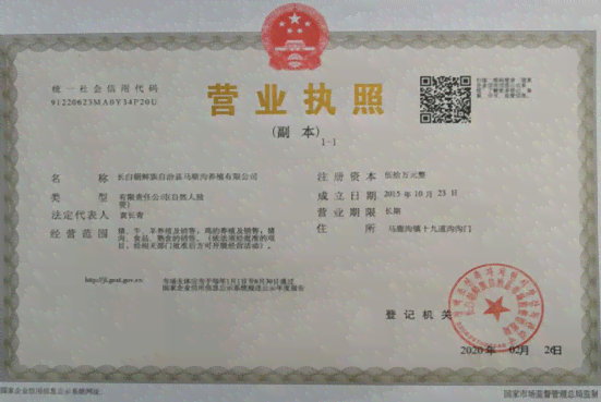 营业执照与工伤认定：如何确定合法就业身份下的工伤权益保障