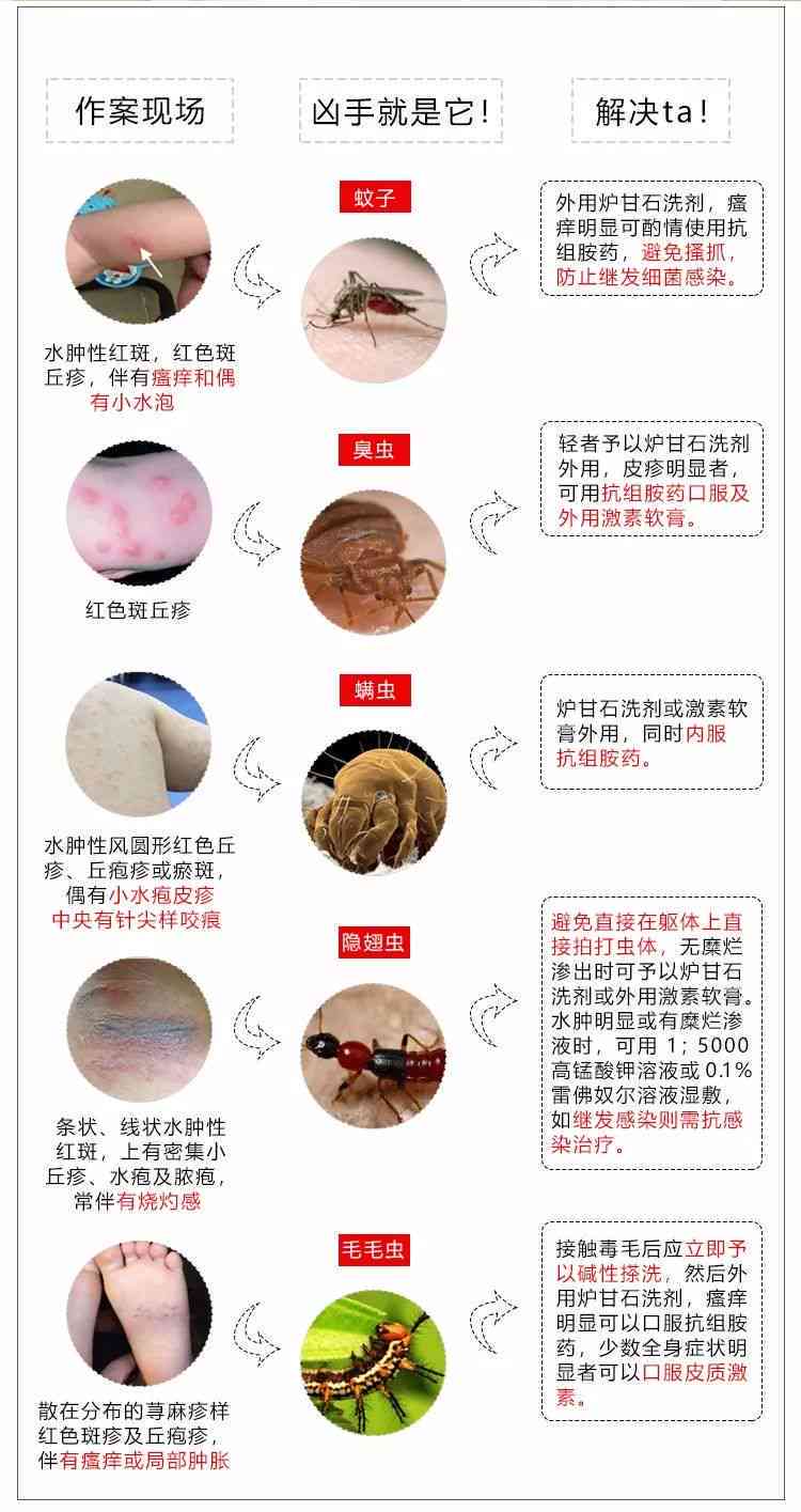 工伤认定：蜱虫咬伤职业暴露如何处理与认定标准