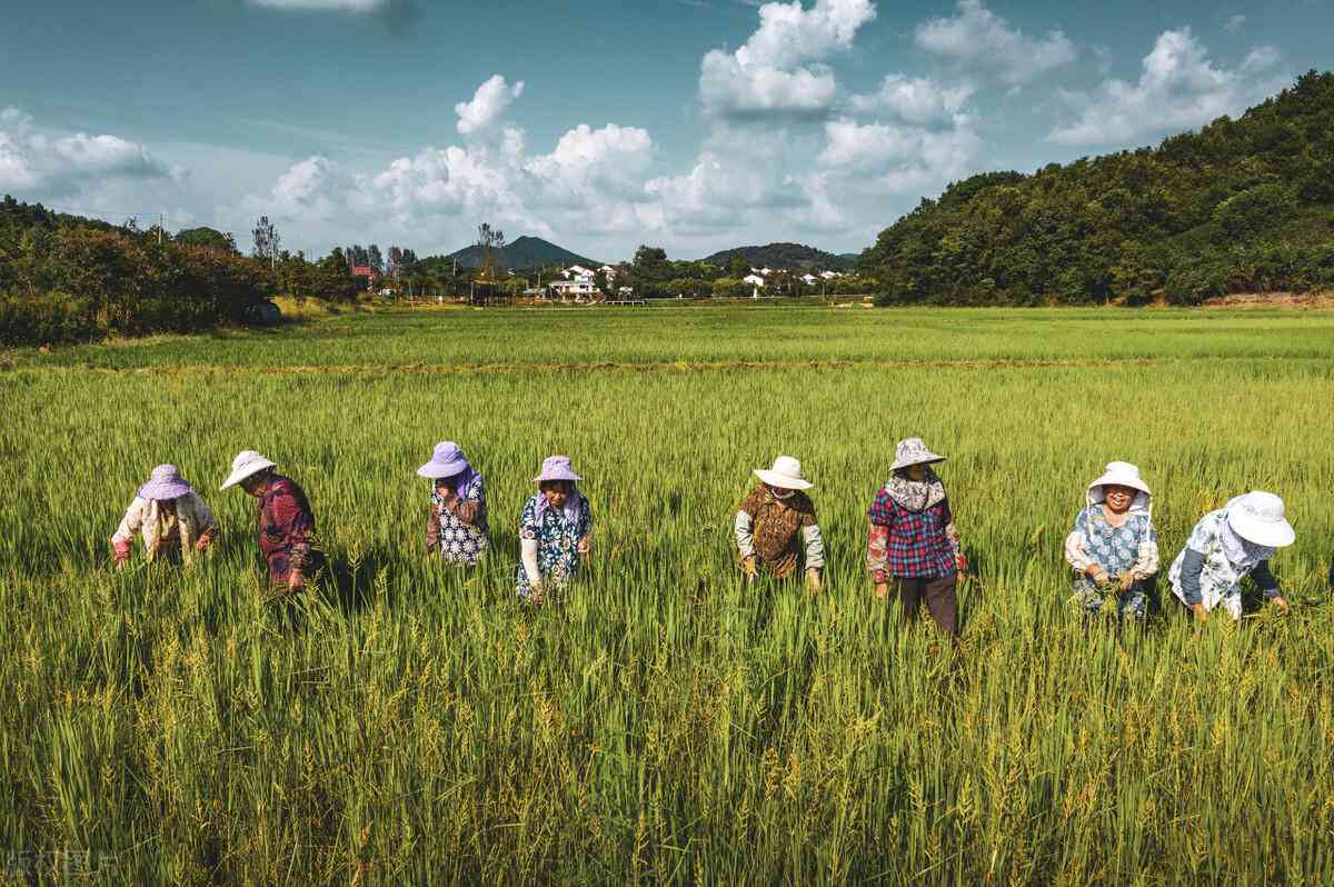 2019年度居民消费价格指数（CPI）年度报告与分析