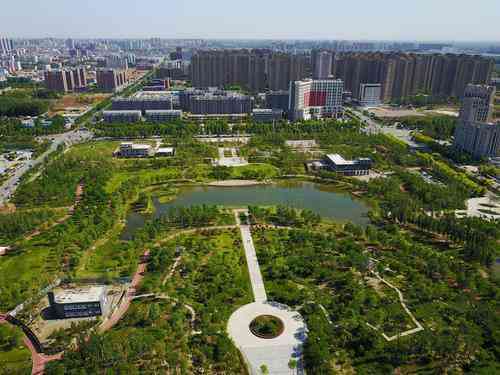 智能医疗新篇章：AI医学影像技术的革新与未来前景展望