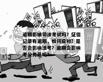 有违法行为能不能考公务员：违法记录对公务员考试的影响