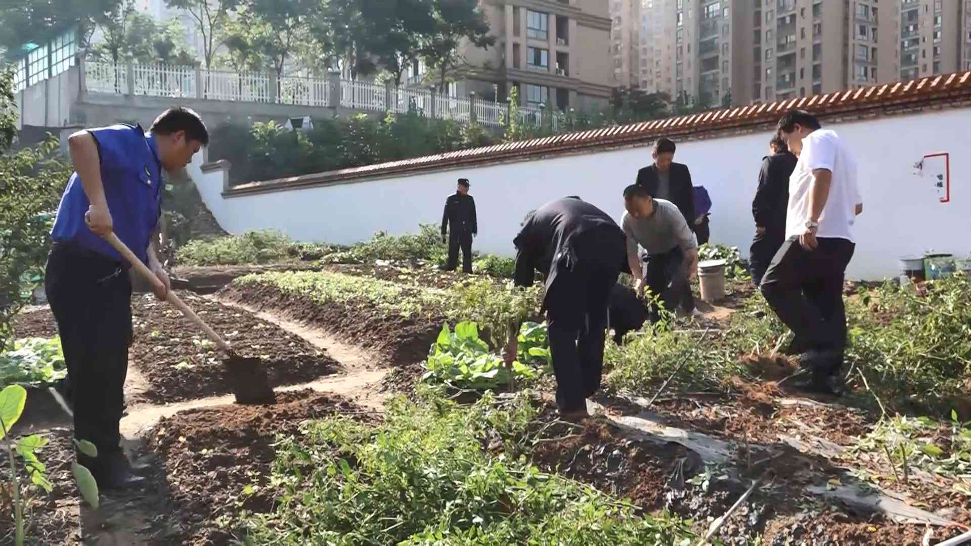 '超期未提交强制执行申请，逾期丧失法定执行权利'