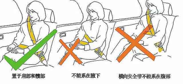 最新规定：驾驶时未系安全带罚款金额详解