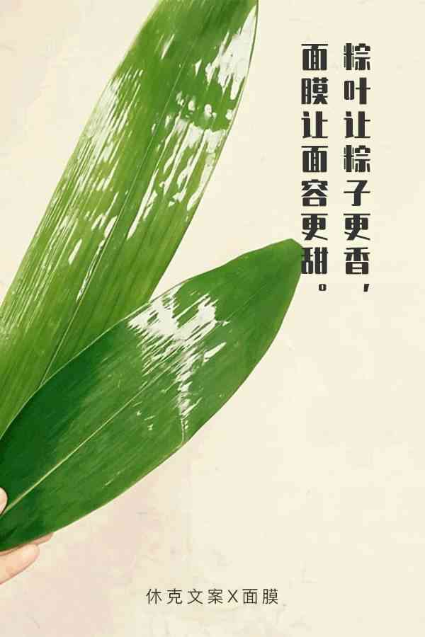 粽子文案素材：摘抄与写作指南
