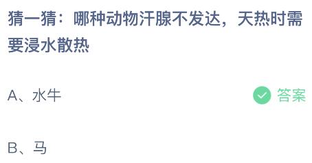 全方位攻略：如何撰写吸引眼球的探店文案及热门搜索问题解析