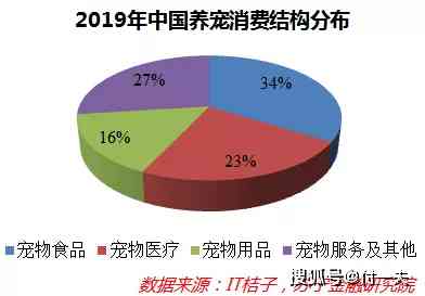 写作猫软件安全性评估：用户隐私保护与功能稳定性深度解析