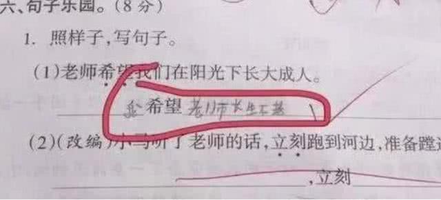 怎么写指南：从指南针小白兔山坡应用到狸造句与制造过程解析