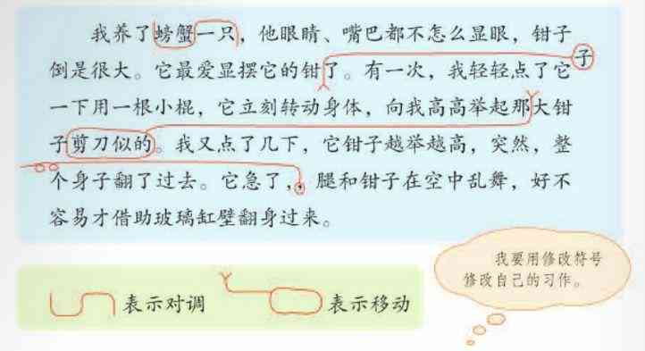 怎么写指南：从指南针小白兔山坡应用到狸造句与制造过程解析