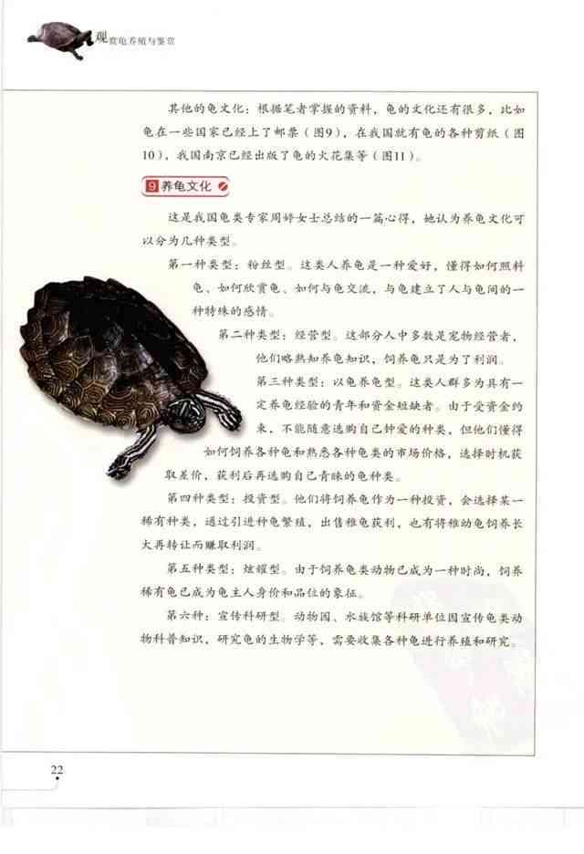 指南Guide：探秘指南龟的发明与历沿革