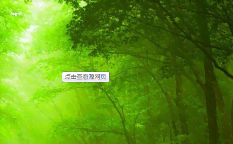 全方位生活灵感指南：探索爱生活的创意文案与实用建议