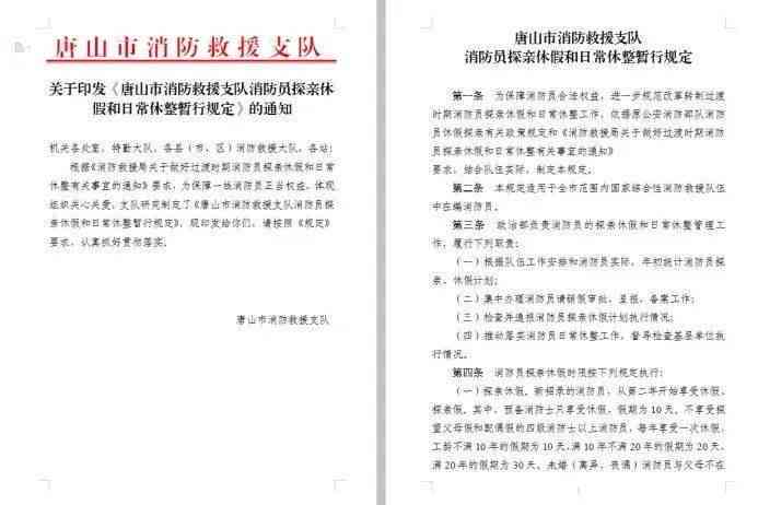 全方位检检查报告模板：涵问题排查、整改措与成效评估