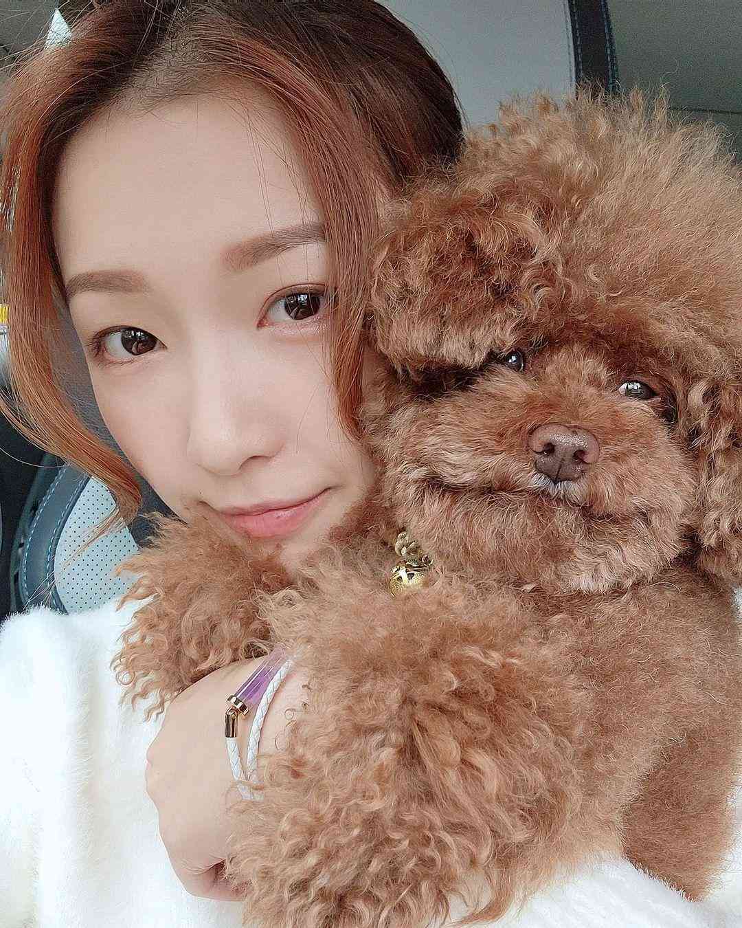 狗狗ai变身文案搞笑