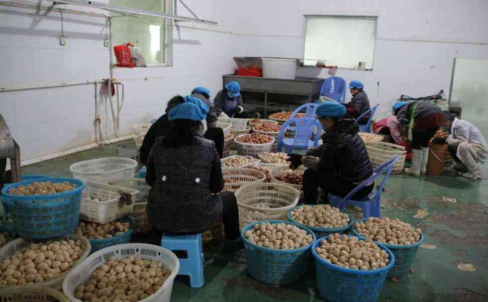 员工未获工伤认定遭遇非法裁员：     指南与应对策略