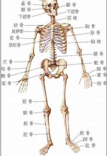 骨头末端骨折：治疗方式、严重程度、恢复周期及治愈可能性解析