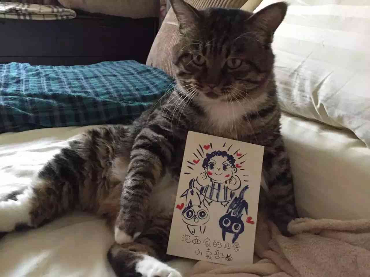 猫咪创作趣事：探索小猫如何写短文及其创意过程