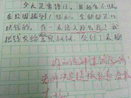 小猫作文本：如何描写本领与食物样子，例文大全及写作指导
