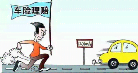 本人全责如何处理及车辆损坏，保险公司是否赔偿与车祸后续处理