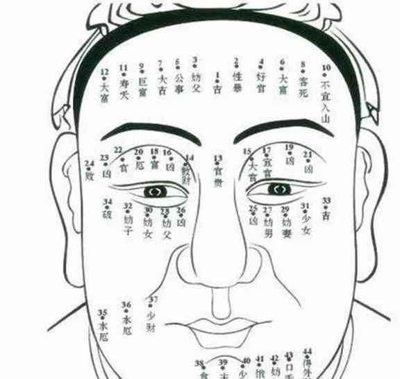 AI面相评分详解：高评分背后的命运密码与人生解读全面揭秘