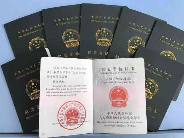 '复治疗本科业生获取职业资格认证的条件与要求'