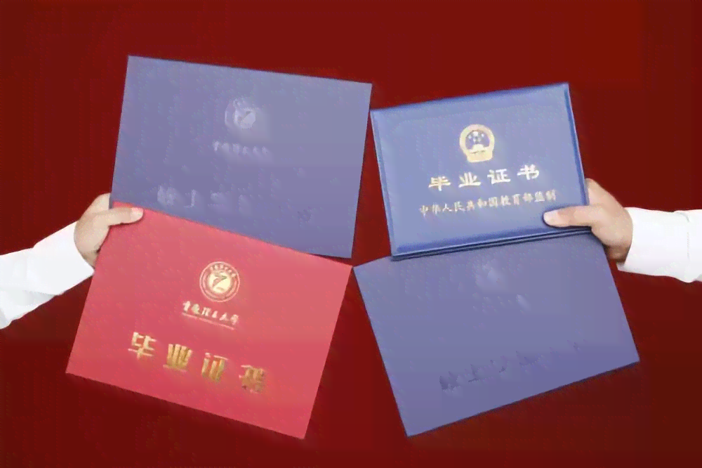 复有没有本科：专业、学历、业证一览