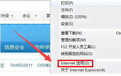 使用脚本在360浏览器中实现自动化操作指南
