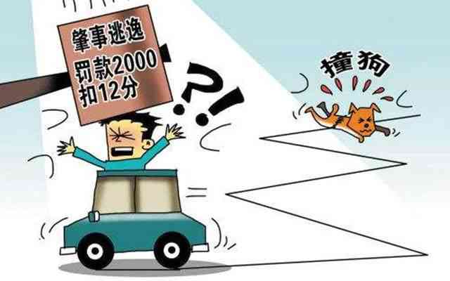 机动车逃逸情形下的工伤事故认定与处理全解析