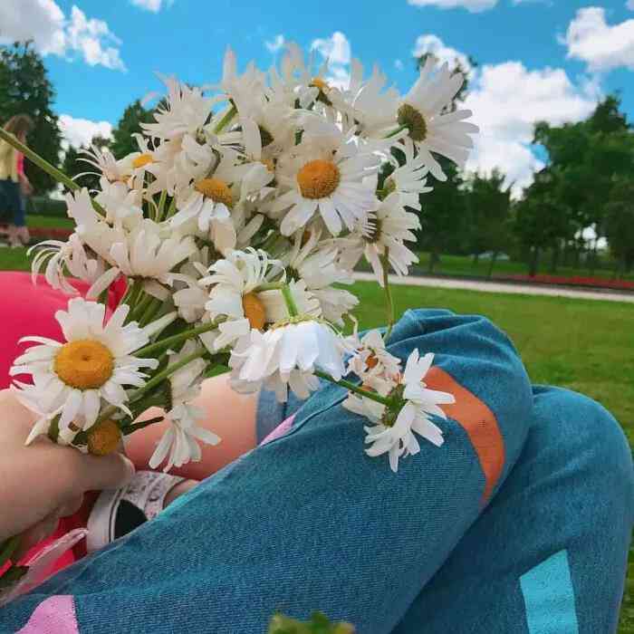 长文案系列篇：如何撰写干净治愈的长文案句子及短句大全
