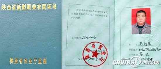 农村干部工伤认定及等级评定标准探讨